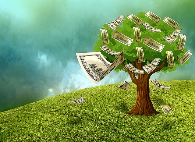peníze ze stromu